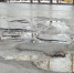 Фото Kaluga-Poisk.ru - Kaluga-Poisk.Ru