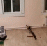 В Калужской области двое граждан Казахстана были убиты в ходе спецоперации ФСБ - Телерадиокомпания Ника