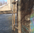 whatsapp image 2024 03 21 at 15 58 19 - Знамя
