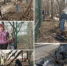 Работали с огоньком - Городская Дума