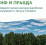 Пожарная безопасность в лесу - Городская управа