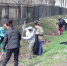 сухиничисубботник0419.jpg - ГТРК Калуга