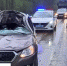 Лось бросился под машину на калужской трассе - Калужский перекрёсток