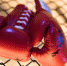 boxing grove red boxing gloves wrestle 1208558 - Знамя