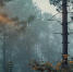 Фото: Kaluga-poisk.ru - Kaluga-Poisk.Ru