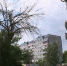 сухое-дерево0705.jpg - ГТРК Калуга