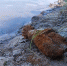 background - Kaluga-Poisk.Ru