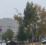 В Калуге станет еще больше платных парковок - ProGorod40.Ru
