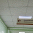 В Калужскую область поступило более 136 тысяч вакцин - ProGorod40.Ru