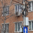 Фото: Kaluga-poisk.ru - Kaluga-Poisk.Ru