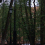 Фото: Kaluga-poisk.ru - Kaluga-Poisk.Ru