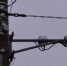 Kaluga-Poisk.ru - Kaluga-Poisk.Ru