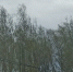 ветер - Pressa40.Ru