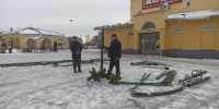 В Боровске начали собирать главную елку - Калужский перекрёсток