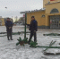 Сбор главной елки начался в Боровске - Комсомольская Правда