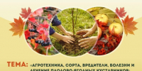 Занятие в клубе «Добрые плоды» - Научная библиотека им. В.Г. Белинского