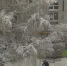 Kaluga-Poisk.ru - Kaluga-Poisk.Ru