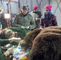 background - Kaluga-Poisk.Ru