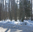 март - Pressa40.Ru