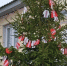 https://vk.com/tarusa_golubev_40?from=search&w=wall601127869_7127%2Fall - Kaluga-Poisk.Ru