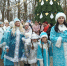В парке культуры и отдыха прошел фестиваль Снегурочек - Городская управа