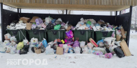 В Калуге на 29 мусорных площадках установили камеры - ProGorod40.Ru