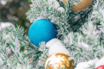 20 новогодних елей уже демонтировали с калужских улиц