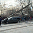 В Калуге водитель врезался в столб и погиб - Комсомольская Правда