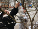 Покормите птиц зимой