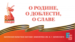 Виртуальный обзор