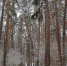 Калуга-Поиск - Kaluga-Poisk.Ru