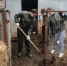 Активисты Молодёжки Народного Фронта помогают приюту «Душа бродяги» - Управление молодежной политики
