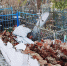 background - Kaluga-Poisk.Ru