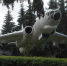 https://avatars.mds.yandex.net/get-altay/5509094/2a0000017ce2e6ca96d59a2ffd82a654e630/XXXL - Kaluga-Poisk.Ru