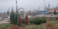 В Калуге обещают посадить новые деревья - Калужский перекрёсток