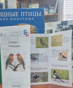 1 апреля – Международный день птиц.