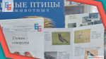 1 апреля – Международный день птиц.
