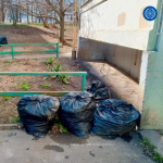 В Обнинске провели несколько субботников