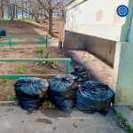 В Обнинске провели несколько субботников