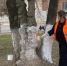 Больше 23 тысяч калужан уже поучаствовали в субботниках - Знамя