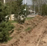 В Жукове благоустроят пешеходную дорожку - Калужский перекрёсток