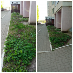 Субботник