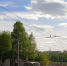 Фото: Kaluga-poisk.ru - Kaluga-Poisk.Ru