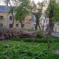 Калужане возмущены многомесячным скоплением сухостоя в центре города - Комсомольская Правда