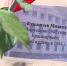 сад-победы-5-школа-0705.jpg - ГТРК Калуга
