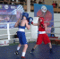 Турнир-по-боксу-им-Петрова-0507.jpg - ГТРК Калуга