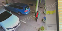 Кража цветов в Обнинске попала на видео - Калужский перекрёсток