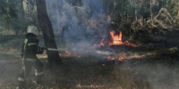Калужан предупредили о высокой пожарной опасности - Калужский перекрёсток