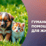 «Единая Россия» объявляет сбор гуманитарной помощи для животных - Единая Россия