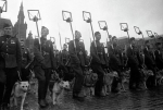В Калуге уже 150 лет истребляют вредных животных